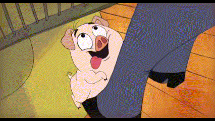 《猪命》:用"猪性"演绎人性,肥猪想成为宠物,结局却十分残酷