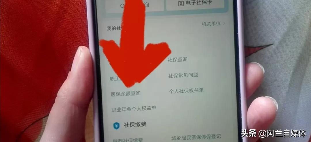 社保卡里面的余额怎么查询（社保卡内的余额怎么查）-第10张图片-科灵网