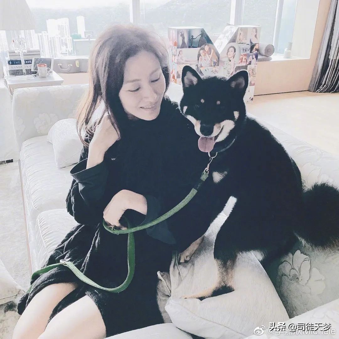 被盗失火，港星的豪宅比他们的花边还好看