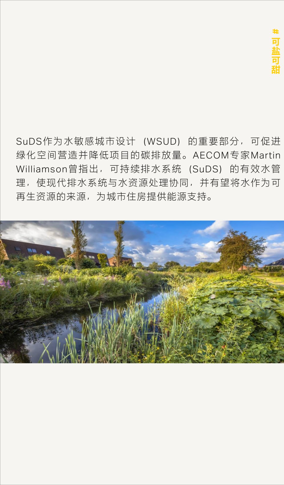 这届AECOM青年有话说