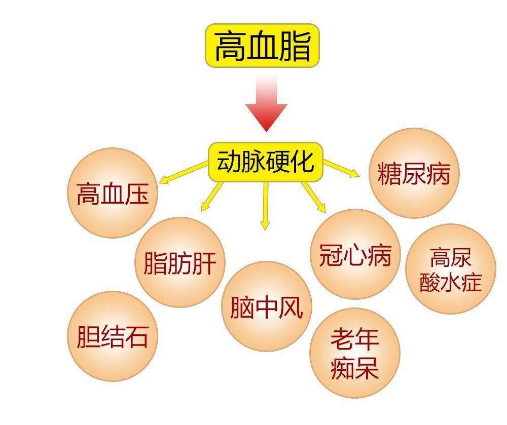 高血脂患者,一日三餐怎么搭配最好