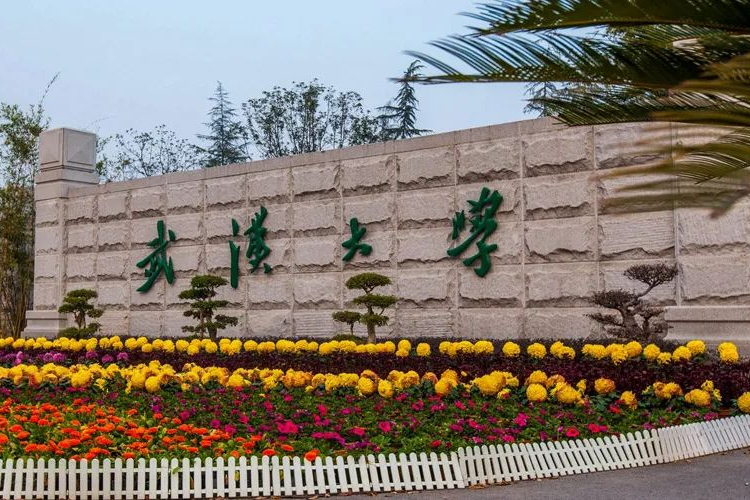 艺术生选大学选专业不知学校实力如何？告诉你这些城市大学的排名