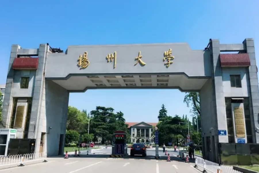江苏大学排行榜（国内）