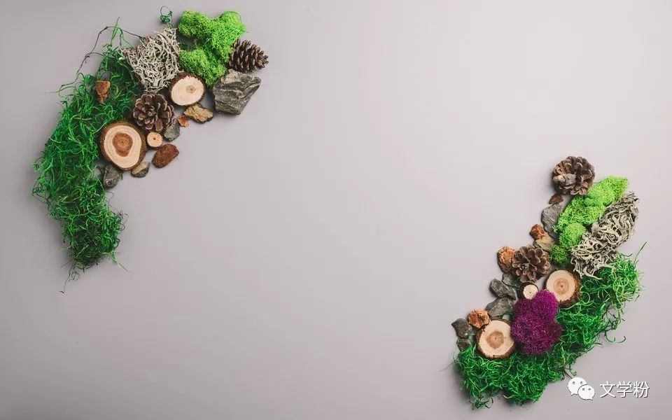 让人点赞的人生感悟文案