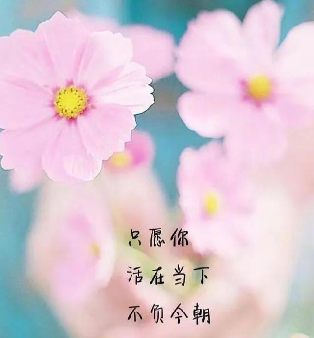 关于爱自己的唯美句子(女人) - 火句子