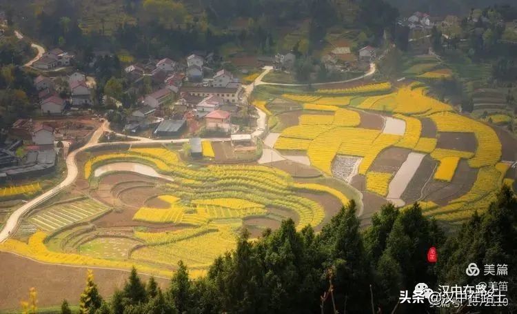 全部免费！汉中乡村赏花攻略出炉！妥妥安排