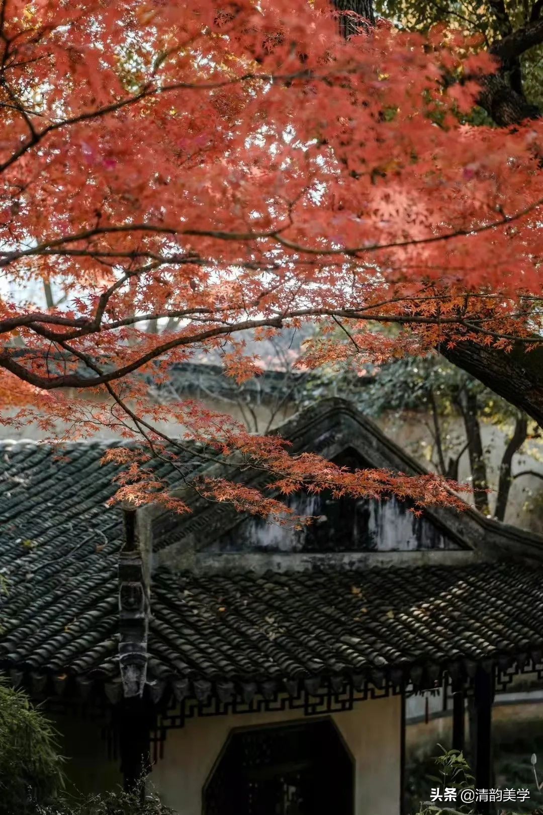 中国古建筑，经典之美