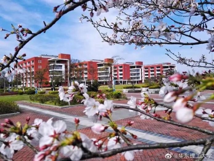 人民日报报道！这5位大学生毕业后直接进入华为、腾讯等，来自同所大学！