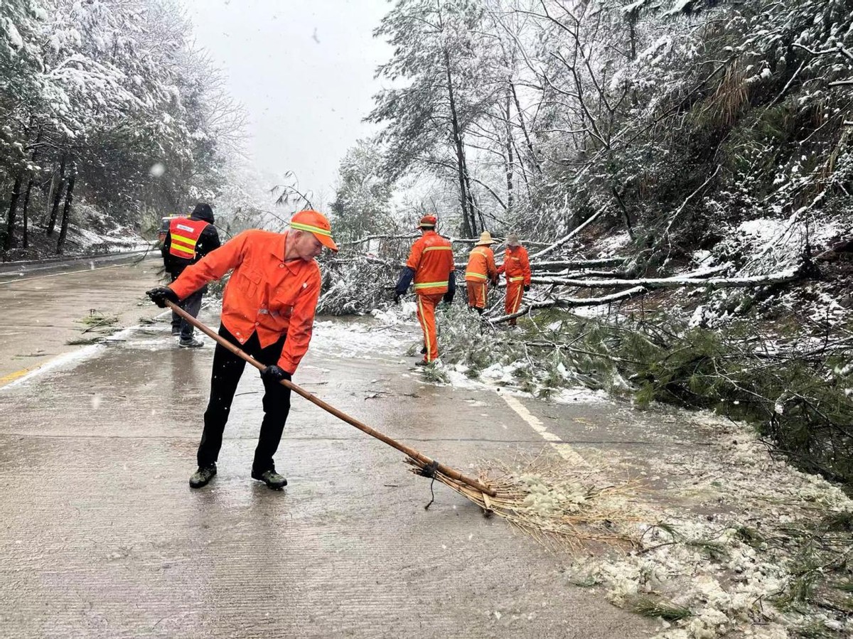 德国瑞典油锯353(迎雪而上，除雪保畅)