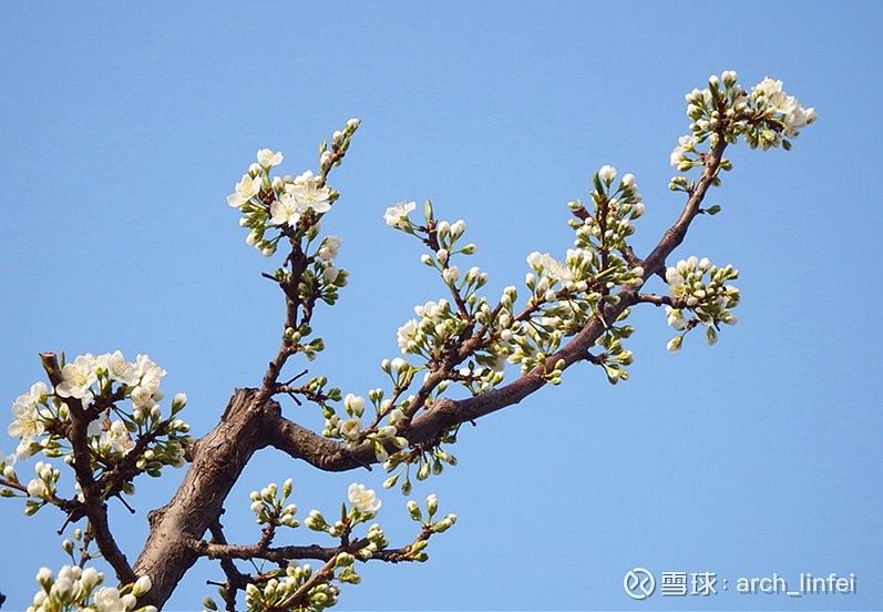 「市场理论」什么是有效市场理论（有效市场理论的内容详解）