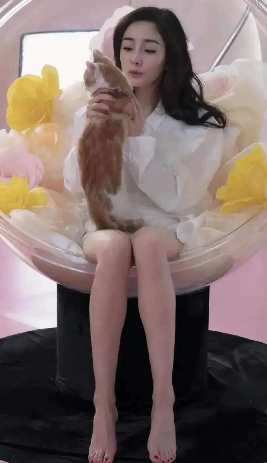 明星杨幂壁纸