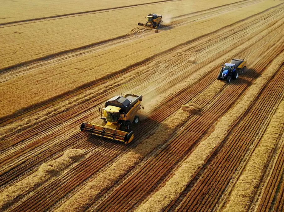 йú̿˰Ϊ㣬ýֹ׹ʾΪ