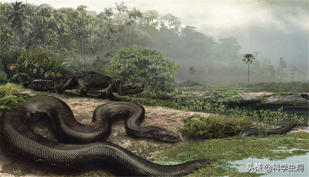 中国最大的蛇有多大(世界上最大的蛇究竟有多长？秦岭真的有盘山巨蟒吗？)