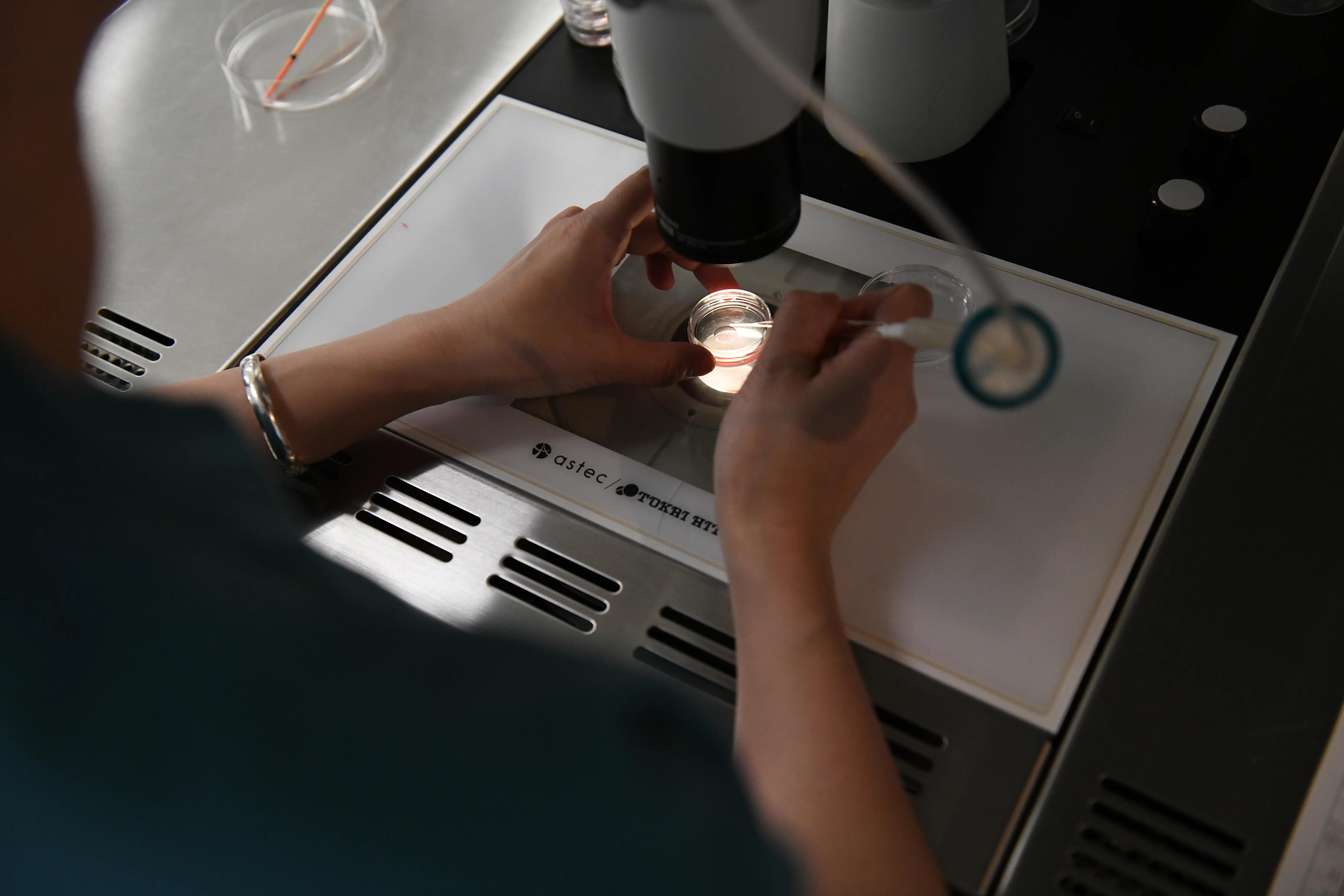 年龄相差10岁的双胞胎诞生 武大人民医院胚胎冷冻技术创生命奇迹