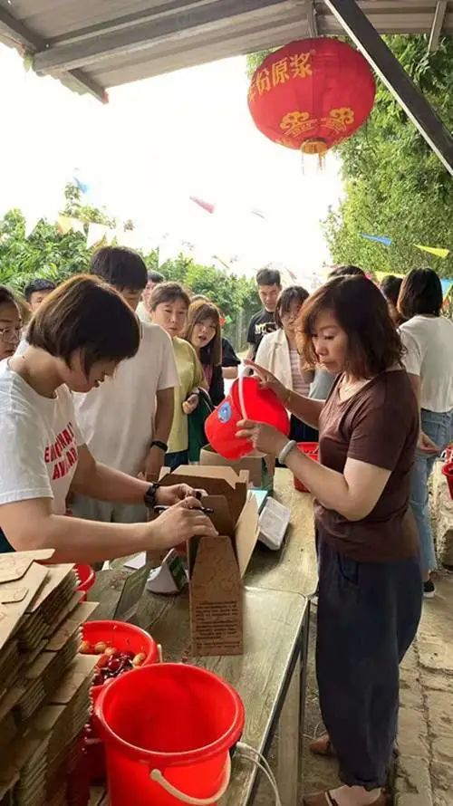 48小时送达！北京金龙祥和农业生态园大樱桃快递直达您家