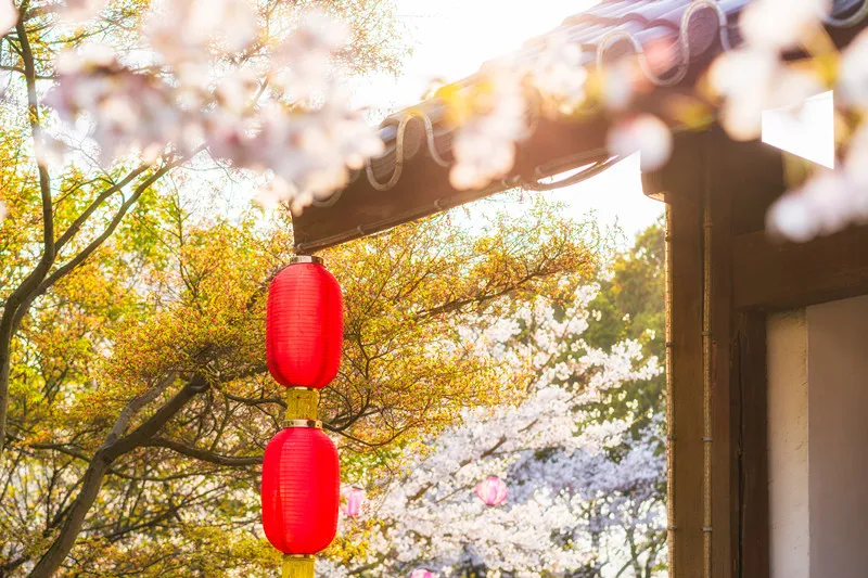 人民日报总结：100首春光诗词，一起感受春天里最美的风景