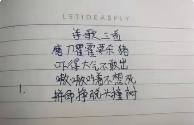 “班长天天谈恋爱”？小学生即兴打油诗火了，同学看了笑出鹅叫