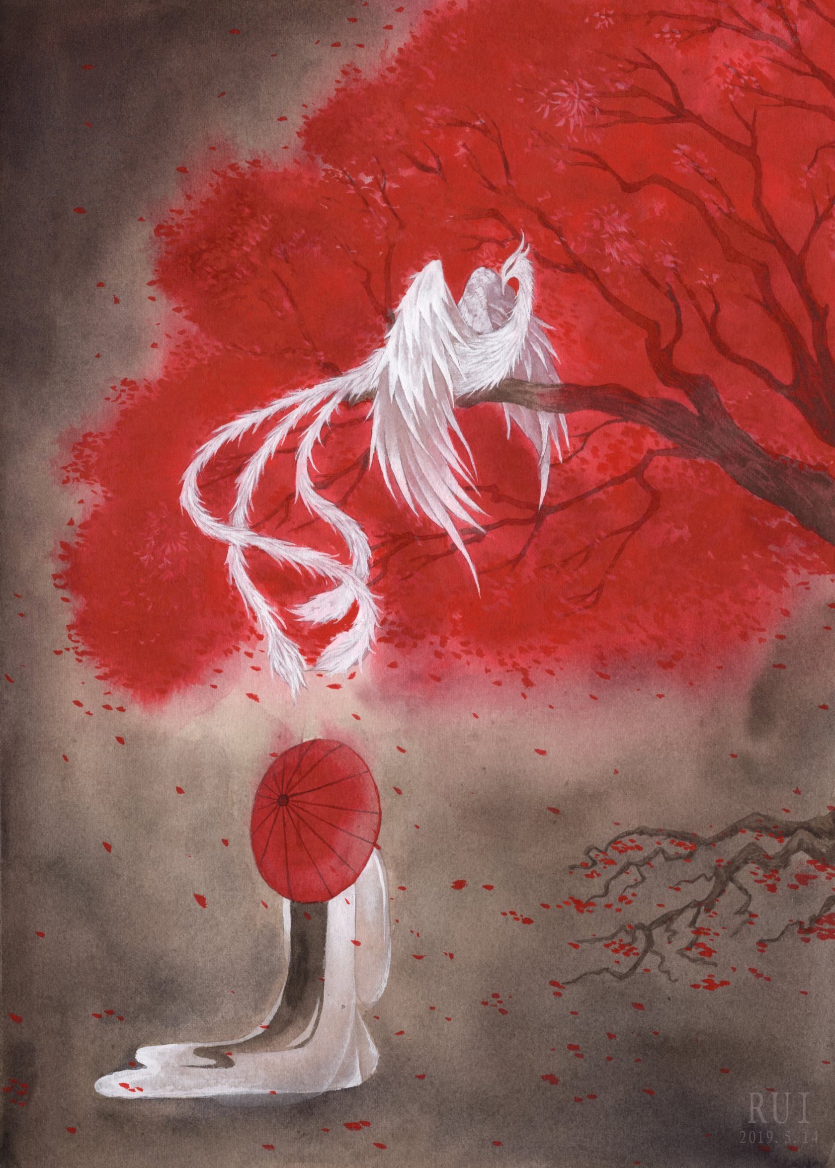 栽下梧桐树,自有凤凰来——梧桐树的传说