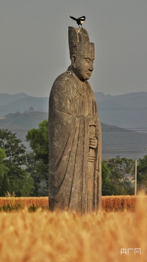 石像生(宋陵石像生：矗立千年 守望麦田)