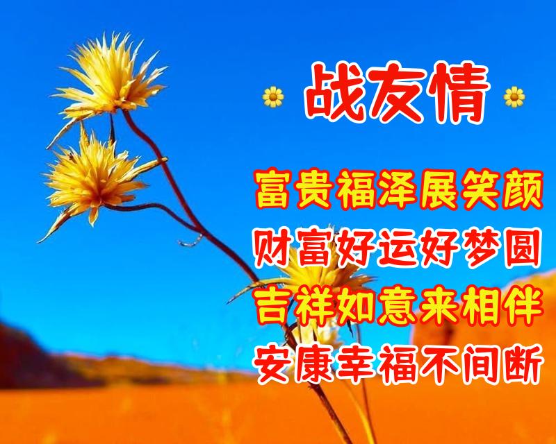 表达战友情深的八个字（送给老战友的温馨祝福语）