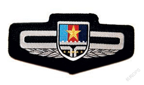 你没见过的红色徽章记忆