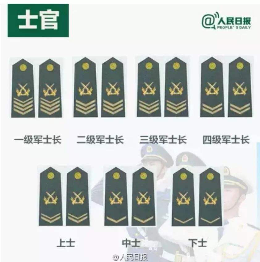 转一级士官多少钱(中国兵王一级军士长到底有多少？享受专属待遇，还能不能再晋升？)