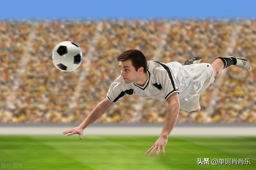 11Ӣô11Ӣôд-Ѷxun