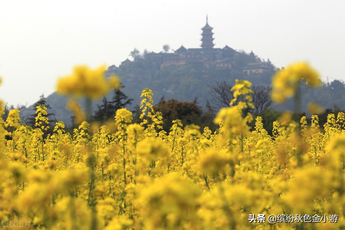 江苏南通有哪几个景点？这几个地方景色美名气大底蕴深，来游玩吧