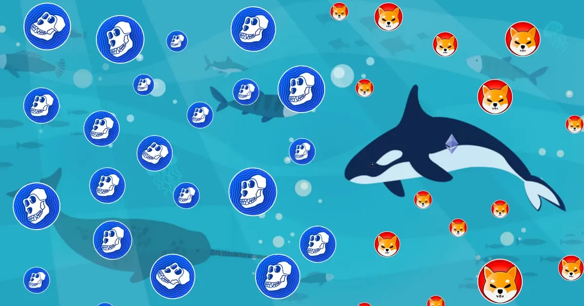 APE将成为下一个 SHIB,因为以太坊鲸鱼将注意力转移到 APE 上