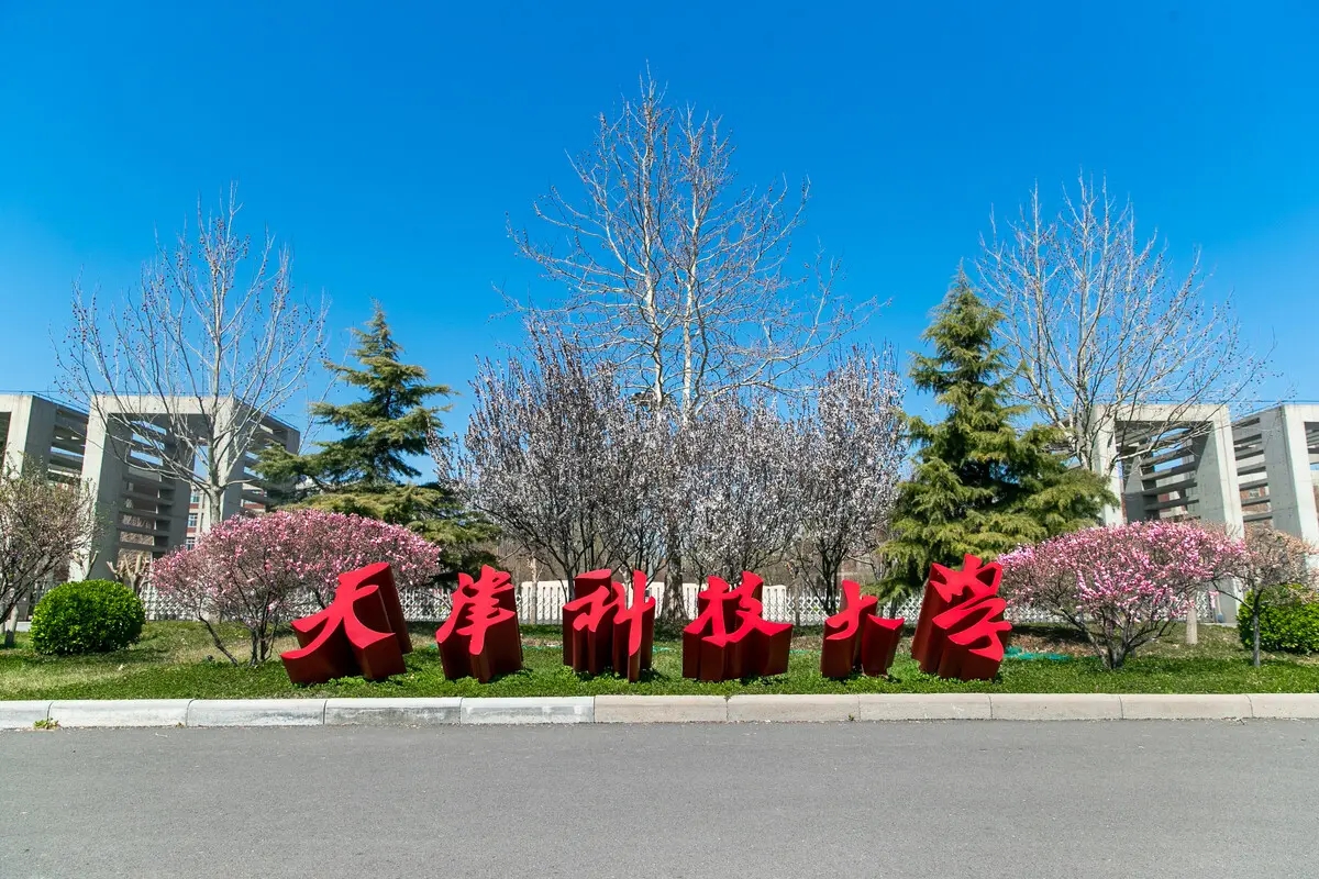 天津科技大学2022第一批公开招聘132人方案