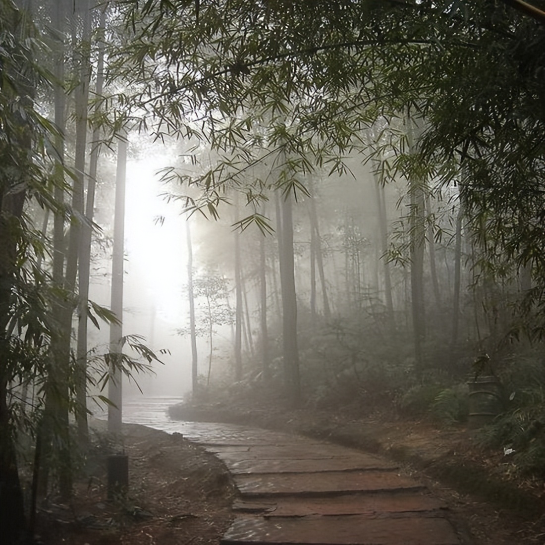 优美的写景作文—秋（打印出来让孩子背诵下来，作文能上一个档次