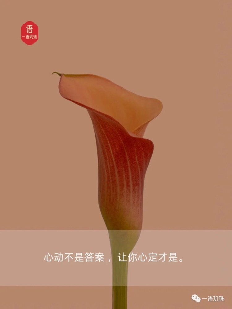 人败皆因懒，事败皆因傲，家败皆因奢