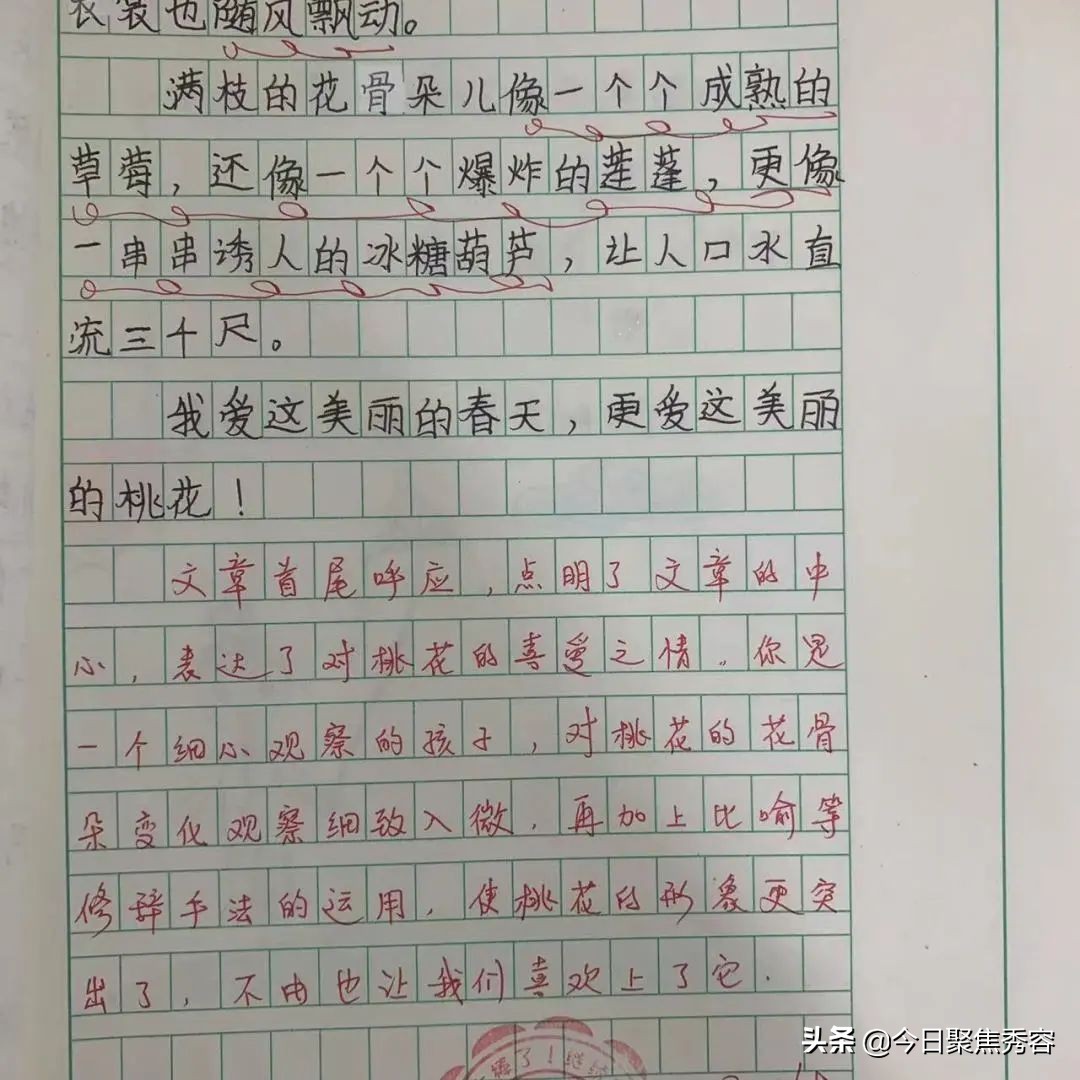 忻州市长征小学西校区开展教案作业活动(图18)