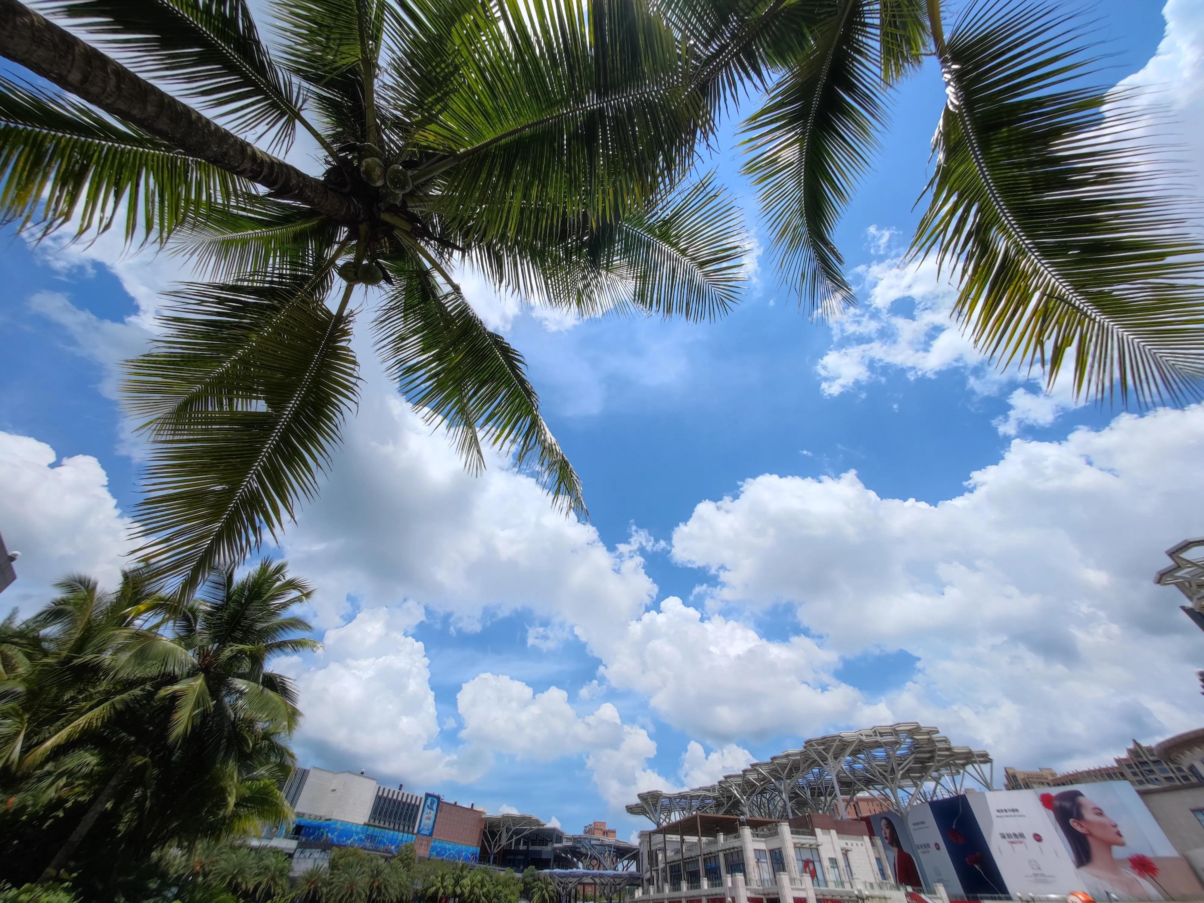 小米11 ultra，降级的拍照体验，喜欢拍照还是很值得拥有的