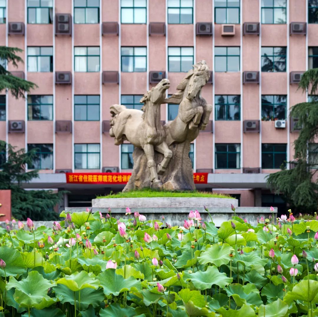 浙江大学全球人才招聘，欢迎加盟！