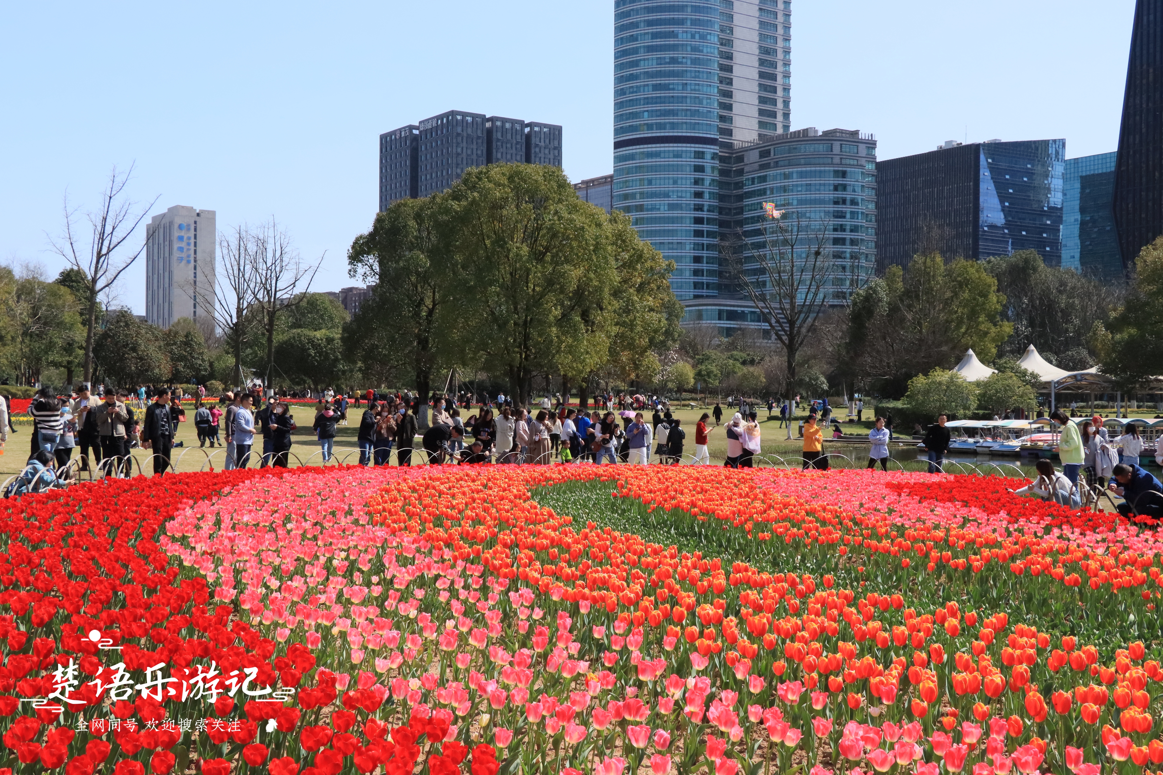 东面有郁金香花海，西面有油菜花海，浙江省宁波市这个公园又火了