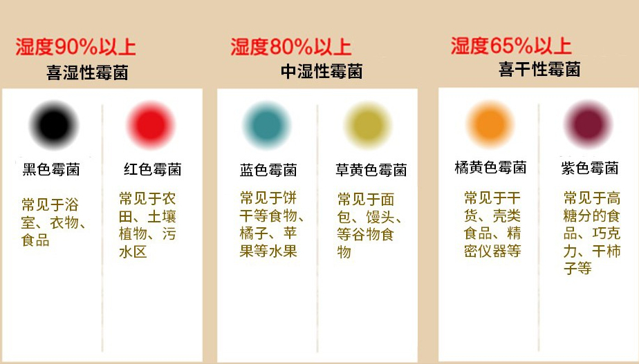 不经历南方的“湿”情画意，就别动不动推荐“不靠谱”的装修设计