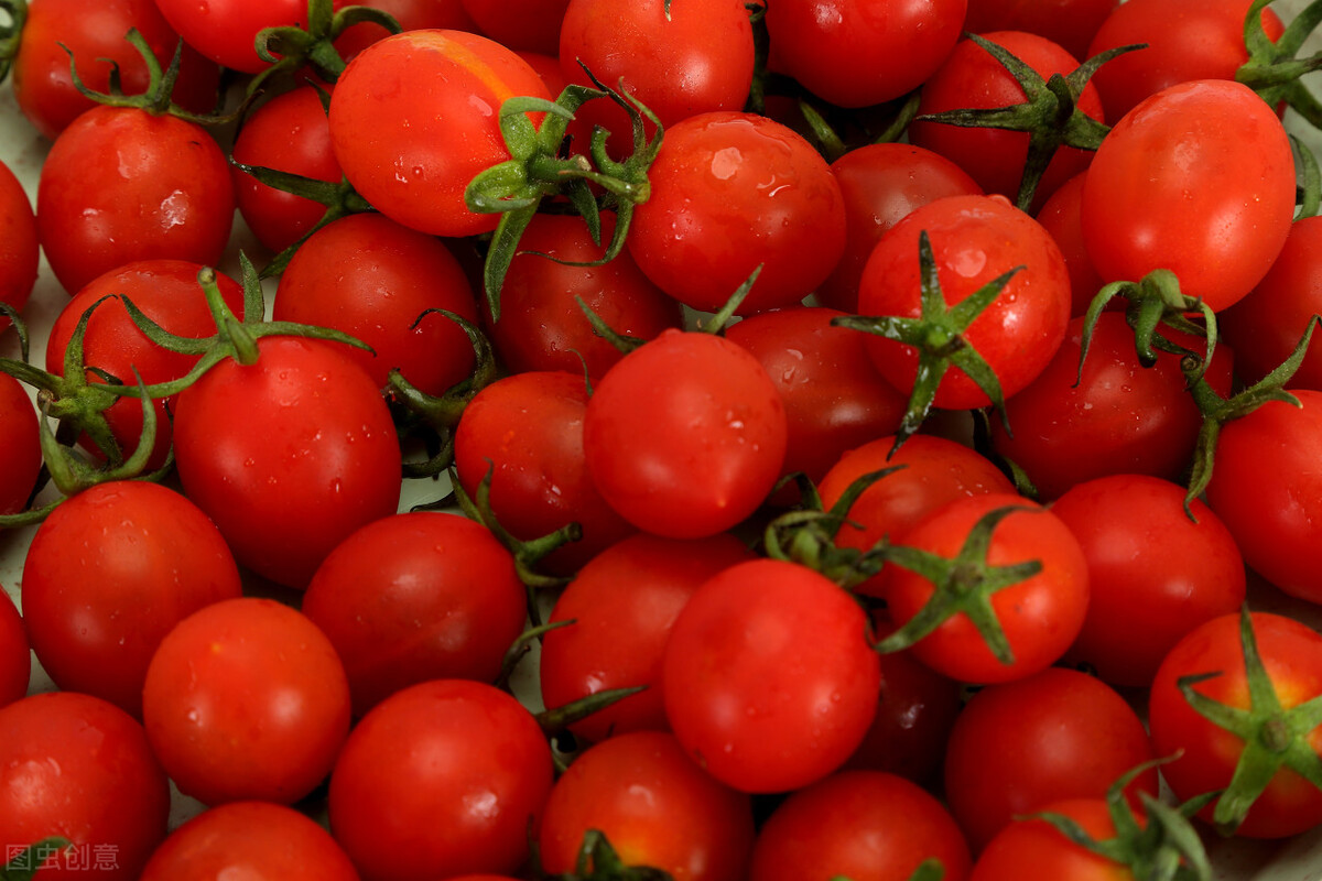 西红柿和圣女果的区别（一文明白圣女果和小番茄的关系）