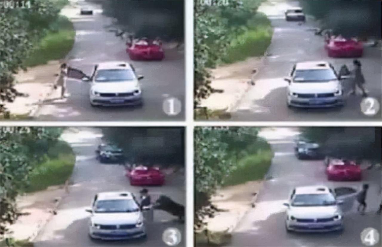 2016年八达岭老虎咬人案：母亲虎口救女儿身亡，女儿因毁容无工作