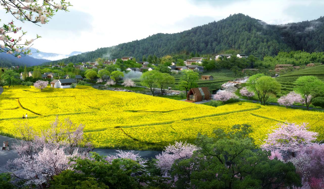 康美田园，古秀村居 | 大宸设计打造阳山县生态宜居美丽乡村