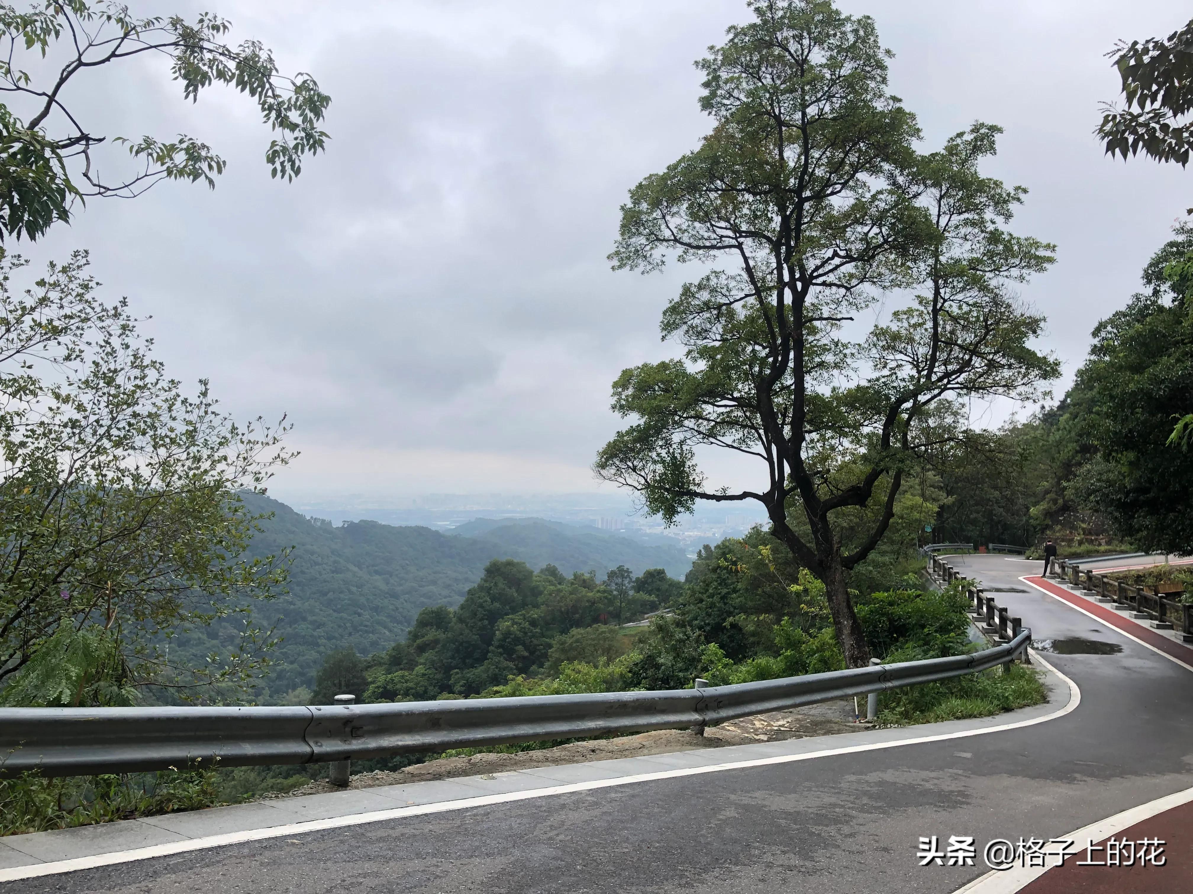 领导带着我们去爬惠州罗浮山，一行人花费超过千元。这风景确实美