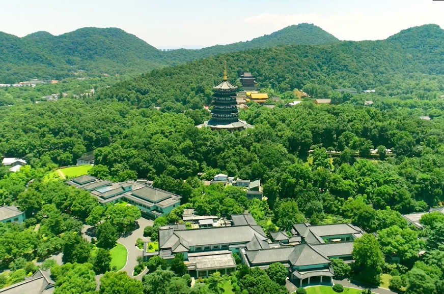 图片[2]-1斤百元与千元的西湖龙井区别在哪？差别挺大 别买错了-起舞食谱网