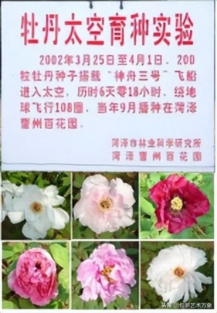 中俄国际文化艺术形象大使蔡云启作品展