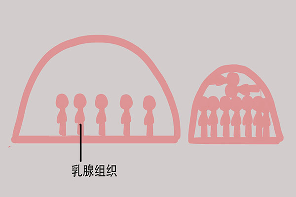 什么时候检查乳腺B超比较好？错过时机或影响结果，提前了解下