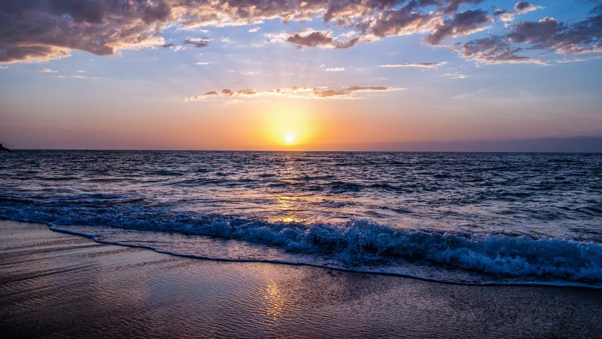 个人如何去开办一家外贸公司，注册的流程？花费大概是多少？