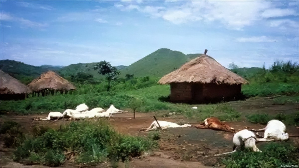 1986年非洲“杀人湖”，一夜夺走1700条人命，将水抽干揪出凶手