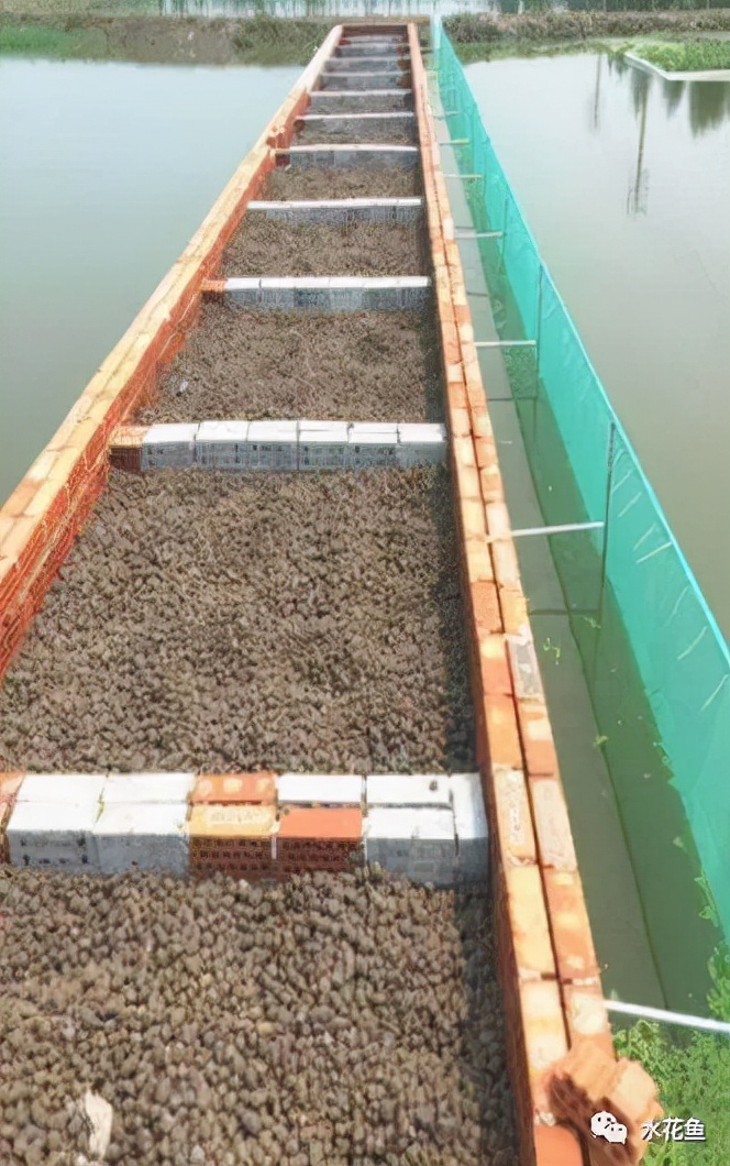 水产养殖尾水处理多级人工湿地净水技术