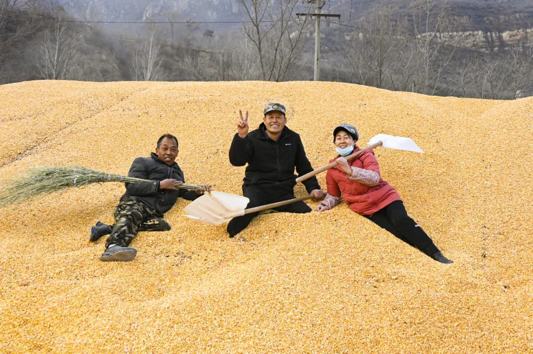 线上展览|“劳动最光荣”主题摄影作品线上图片展（七）