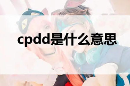 网络用语cpdd是什么意思？是找伴侣的意思吗？