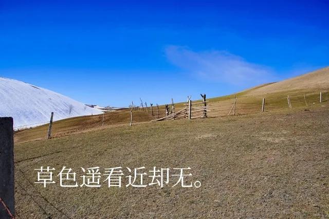 日日思归饱蕨薇，春来荠美忽忘归，人间烟火气，最抚凡人心